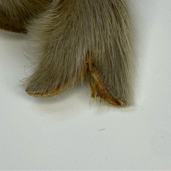 Vintage real fur seal figure toys - Picture 11 of 12